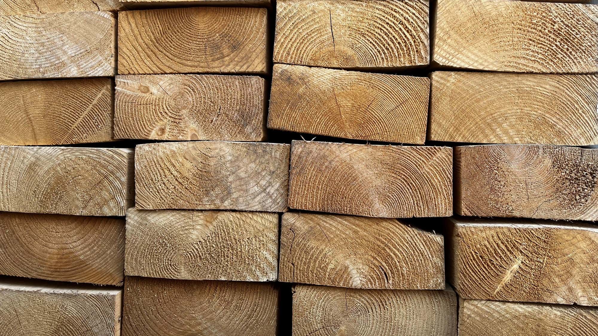 The sawn ends of stacked pine timber, growth rings and grain filling the frame.